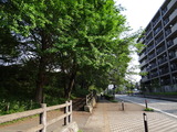 DSC02974