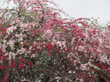 DSC02268