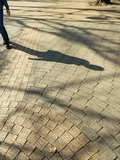 IMG_20181125_120430