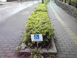 96033ab3.jpg