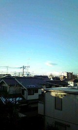 97247227.jpg