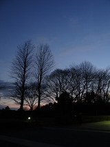 DSC03197