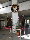 IMG_20201116_130421