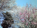 a8263fe6.jpg