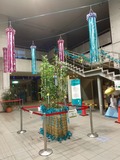 IMG_20210629_190238