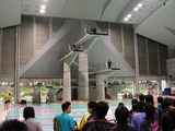 DSCN5331