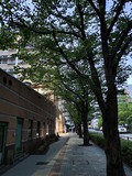P_20260417_181556~2
