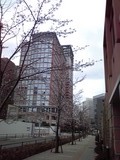 c1437465.JPG