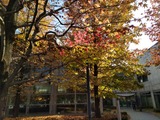 IMG_20201116_130536