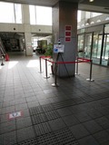 IMG_20201101_110558