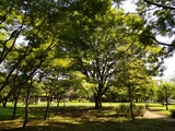 IMG_20190825_095633