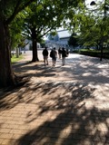IMG_20170903_081720