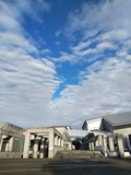 IMG_20201107_145842