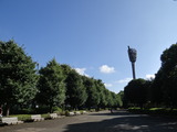 DSC07819