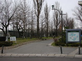 DSCN5231