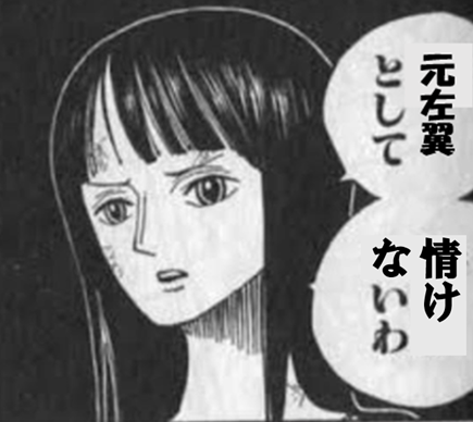 元左翼として情けない