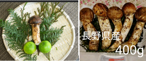 わいせつキノコ