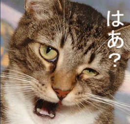 はあ? 2.jpg