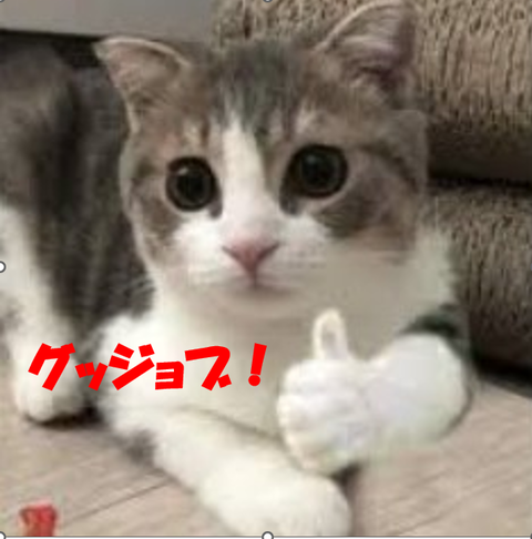 グッジョブ　猫