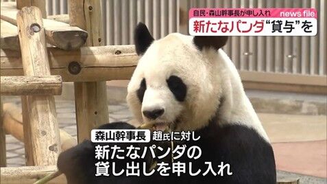 森山幹事長 パンダパンダ