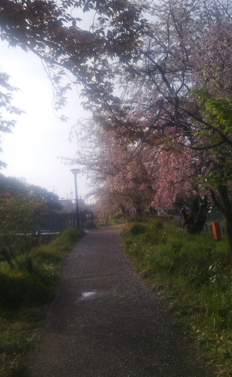 サカエパン202504 (2)