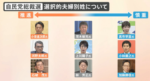 自民党　選択的夫婦別姓