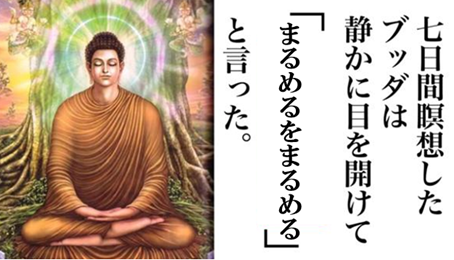 ブッダ、丸めるを丸める