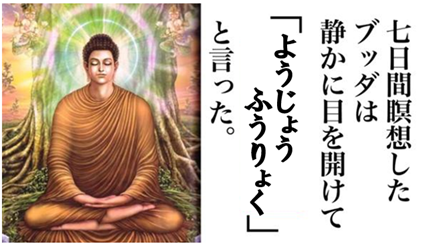 ブッダ 洋上風力