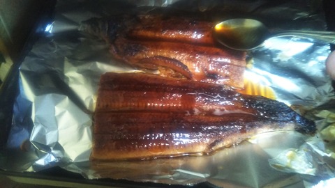 チキンうな丼 (10)