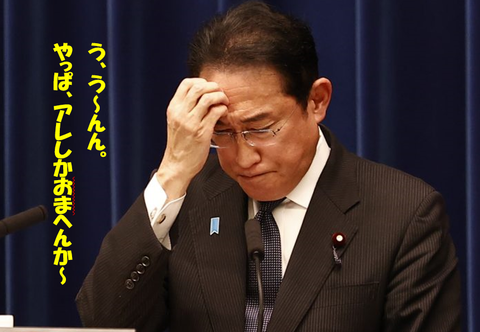 岸田総理 アレしかおまへんか