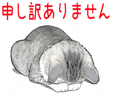 猫 ごめんなさい