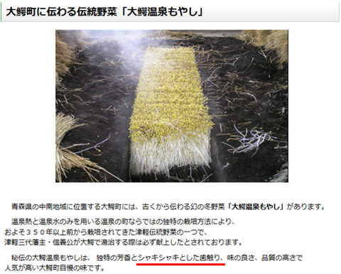 大鰐温泉もやし