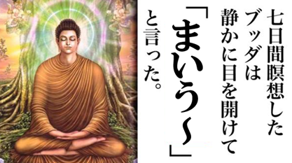 ブッダ まいう~