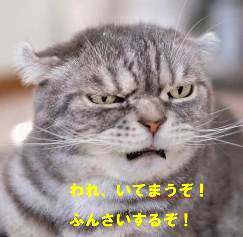 猫 われふんざいするぞ