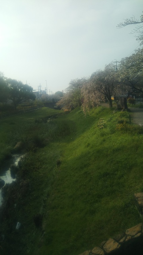 サカエパン202504 (5)