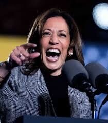 カマラ・ハリス　大口