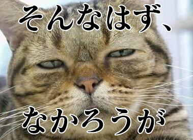 そんなはずはない