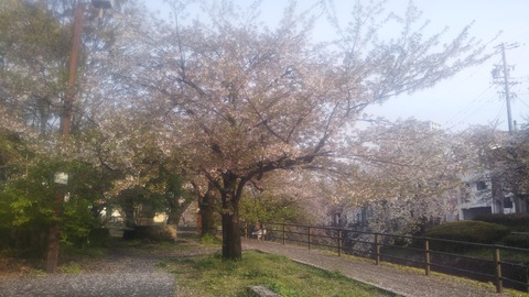 サカエパン202504 (4)