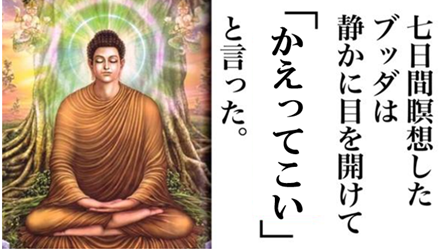 ブッダ、帰ってこい