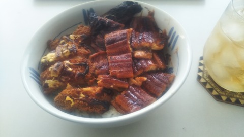 チキンうな丼 (11)