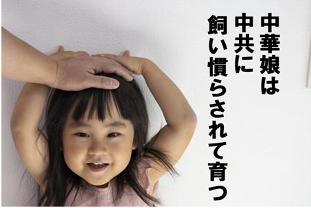 中華娘 中国共産党