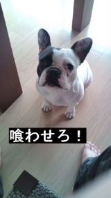 BlogPaint
