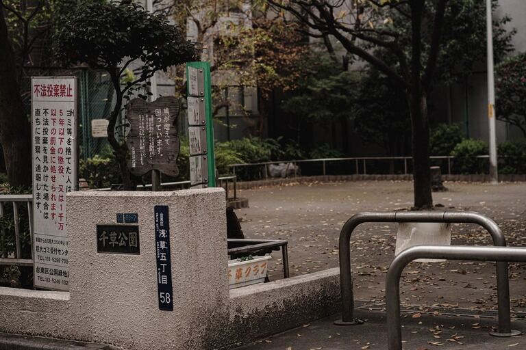 高いのと低いので段違いになってる鉄棒と、 グルグル回る地球儀型のジャングルジムしかない小さな公園だった。