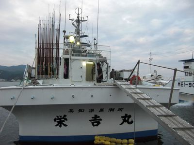 黒潮町のカツオ船とｔシャツ 幡多 マーケット 海辺の日曜市 のブログ