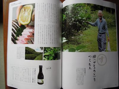 イメージ 6