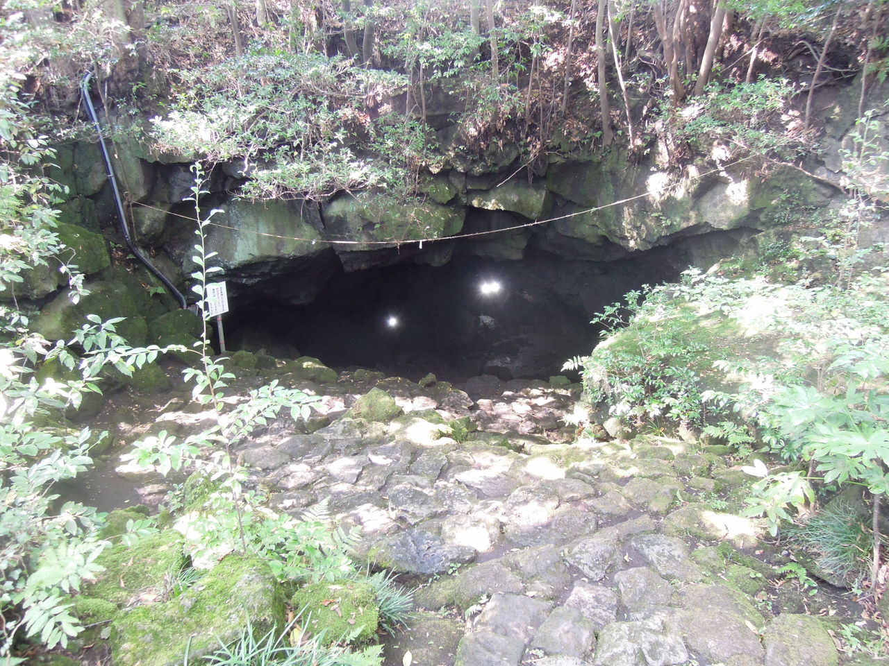 駒門風穴 富士山麓の自然
