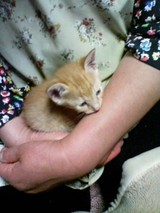 みかちゃん