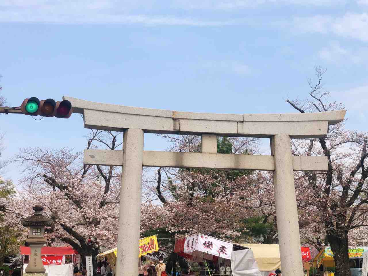 三嶋大社の桜 No 16の日常 三嶋大社の桜 No 16の日常