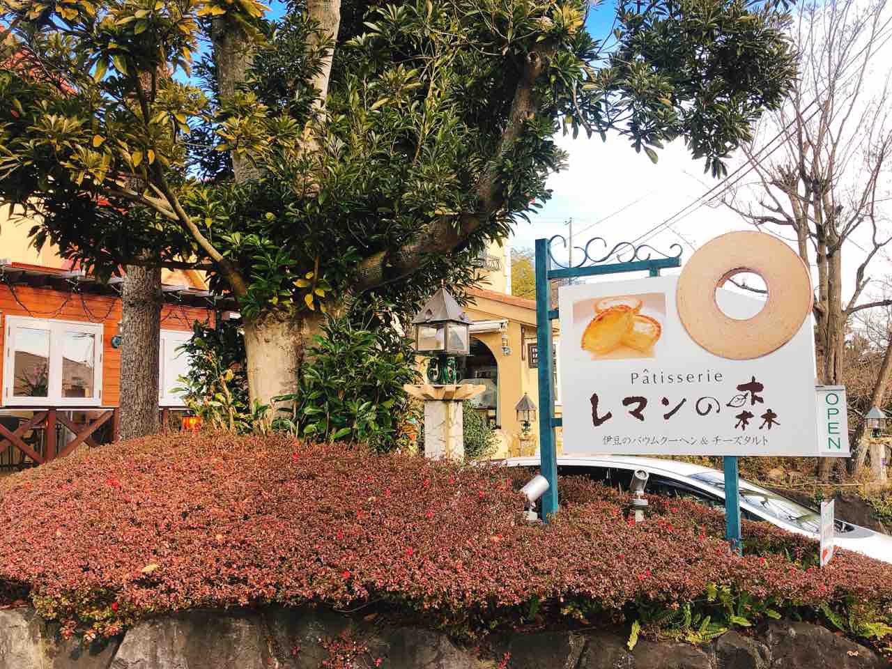 レマンの森 伊豆高原 No 16の日常 レマンの森 伊豆高原 No 16の日常