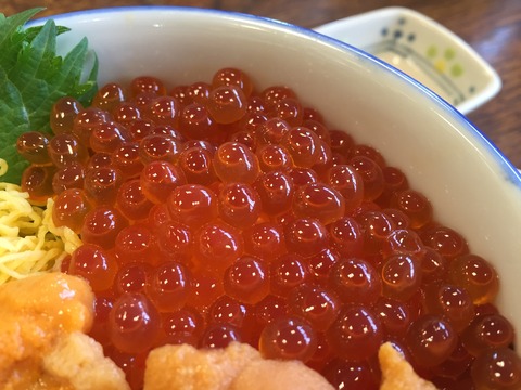 北のグルメ亭